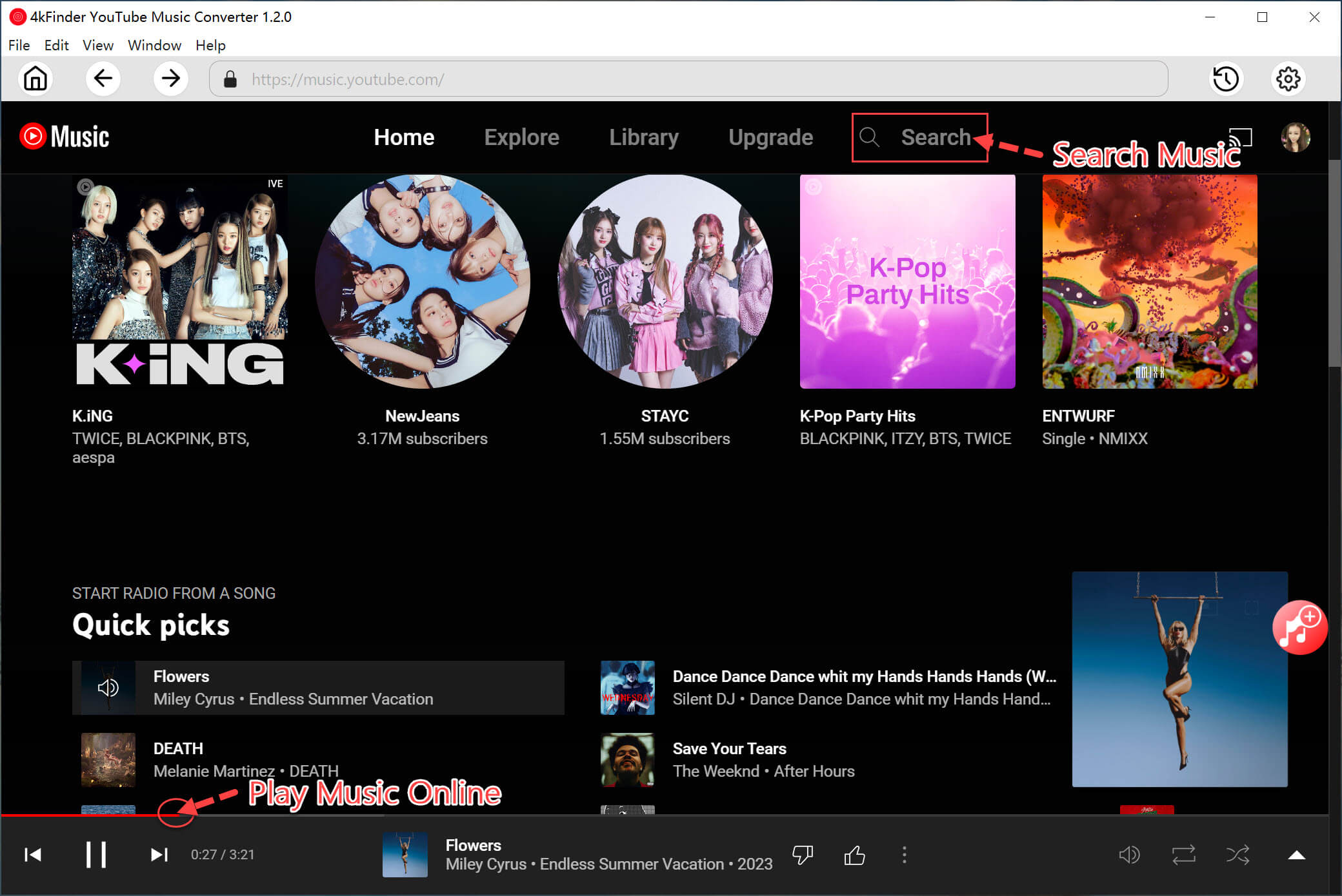 built-in youtube music web player